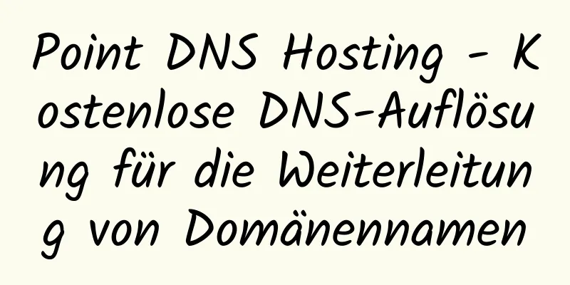 Point DNS Hosting - Kostenlose DNS-Auflösung für die Weiterleitung von Domänennamen