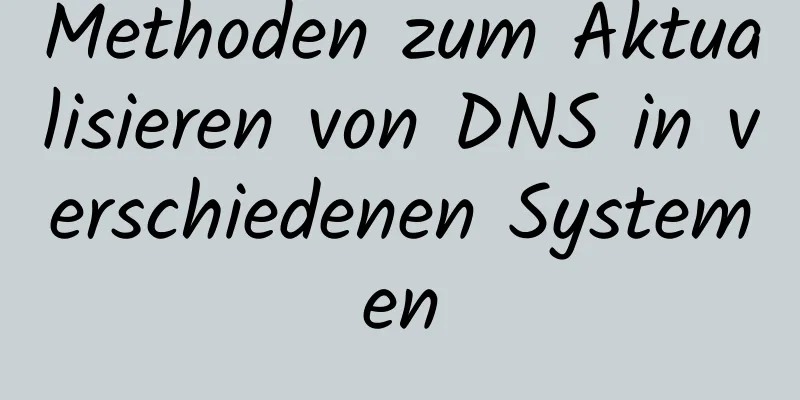 Methoden zum Aktualisieren von DNS in verschiedenen Systemen