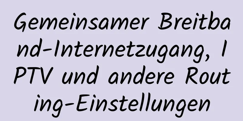 Gemeinsamer Breitband-Internetzugang, IPTV und andere Routing-Einstellungen