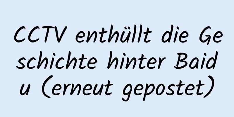 CCTV enthüllt die Geschichte hinter Baidu (erneut gepostet)