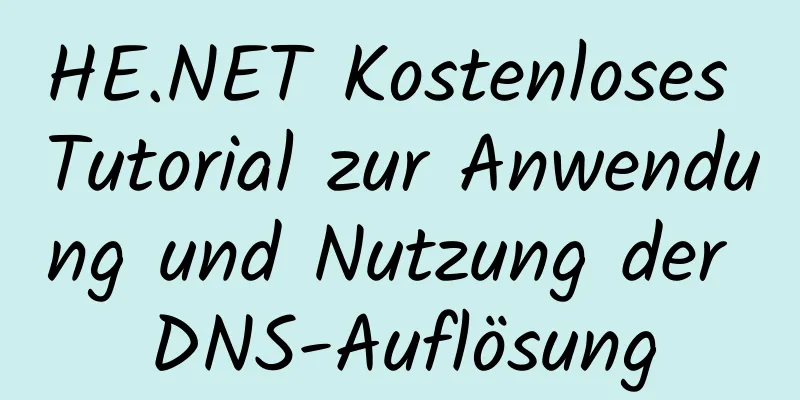 HE.NET Kostenloses Tutorial zur Anwendung und Nutzung der DNS-Auflösung