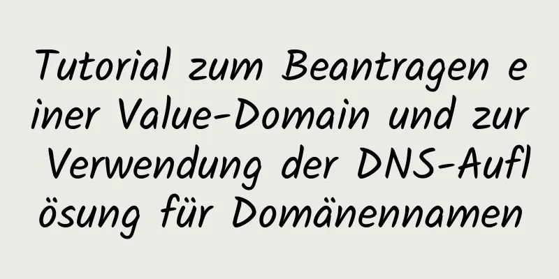 Tutorial zum Beantragen einer Value-Domain und zur Verwendung der DNS-Auflösung für Domänennamen