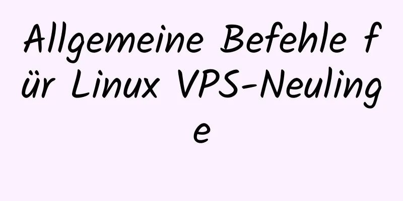 Allgemeine Befehle für Linux VPS-Neulinge