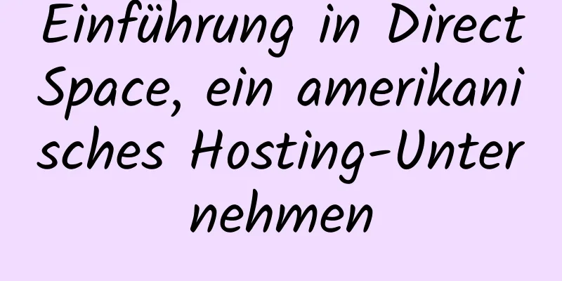 Einführung in DirectSpace, ein amerikanisches Hosting-Unternehmen