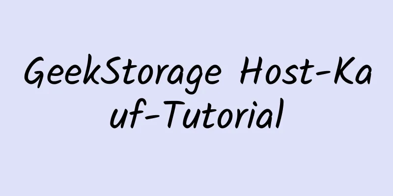 GeekStorage Host-Kauf-Tutorial