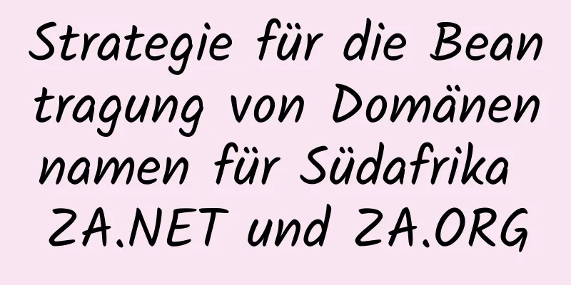 Strategie für die Beantragung von Domänennamen für Südafrika ZA.NET und ZA.ORG