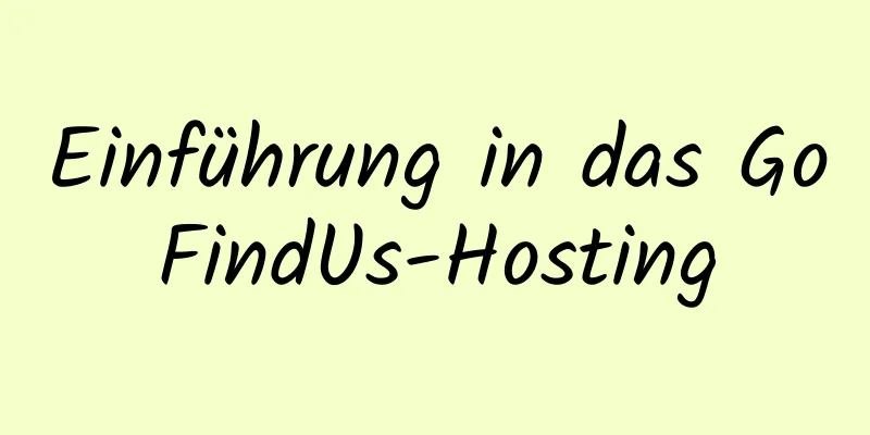 Einführung in das GoFindUs-Hosting