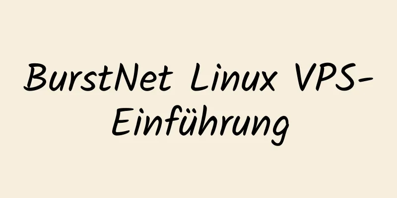 BurstNet Linux VPS-Einführung